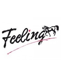 Feeling