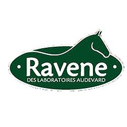 Ravene